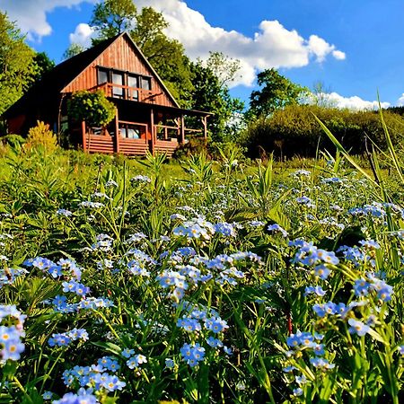 Piaskowy Kon - Mountain Lodge & Spa- Karkonosze Mniszkow  Kültér fotó